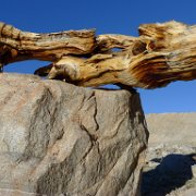SouthernSierra 454 : SouthernSierra